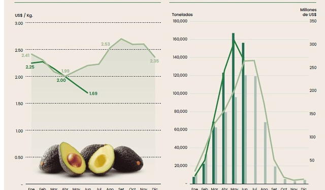  Precios por kilogramos de la palta peruana en 2024/2025. Foto: Sunat   
