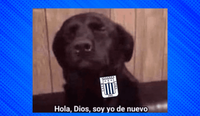  Usuarios comparten divertidos memes. Foto: Líbero 