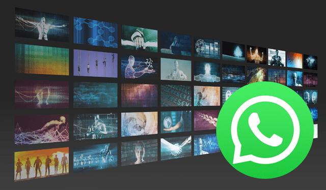  Asegúrate de que la copia de seguridad automática o manual esté activada. Foto: Composición LR<br><br>    