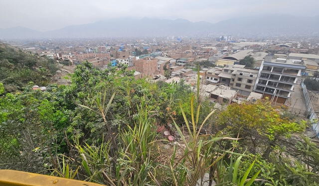 La Selva Escondida se encuentra a la altura de la calle 51, cerca del grifo Altavida, en San Juan de Lurigancho. Foto: Francisco Erazo.   
