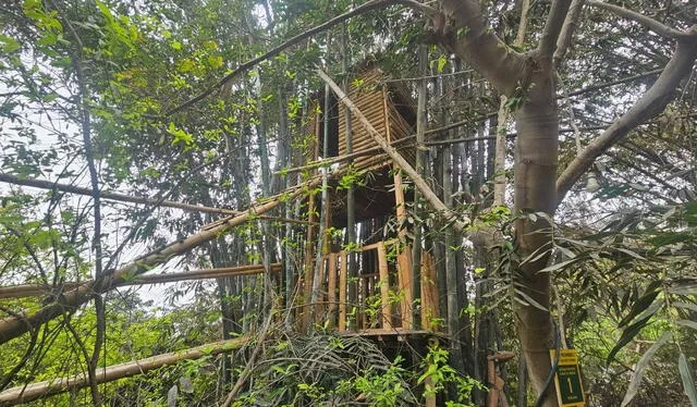 Casita de madera y bambú hecha a mano por uno de los hijos de Doña Esther. Actualmente, los visitantes lo utilizan como mirador. Foto: Francisco Erazo.   