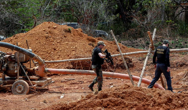 Entre 1985 y 2023, apenas el 1,2 % de la vegetación nativa en territorios indígenas fue destruida, frente al 19,9 % registrado en áreas privadas. Foto: EFE Entre 1985 y 2023, apenas el 1,2 % de la vegetación nativa en territorios indígenas fue destruida, frente al 19,9 % registrado en áreas privadas. Foto: EFE