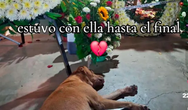  "Sus lágrimas son sinceras", escribió un usuario en TikTok. Foto: composición LR/ TikTok /@klaunsl   