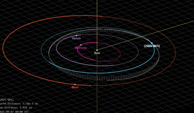  La órbita de 2025 QV5 alrededor del Sol lo acerca a la Tierra y a Venus. Durante la mayor parte del próximo siglo, el asteroide pasará cerca de esta última con mayor frecuencia. Foto: NASA/JPL   