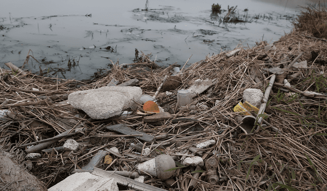 Biólogos y activistas reconocen la alta contaminación en el estuario de Lurín desde varios años atrás. Créditos: Marco Cotrina / La República.<br><br> Biólogos y activistas reconocen la alta contaminación en el estuario de Lurín desde varios años atrás. Créditos: Marco Cotrina / La República.<br><br>