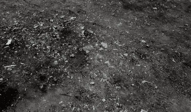 La República halló varios trozos de vidrio en el estuario. Créditos: Marco Cotrina / La República.<br><br> La República halló varios trozos de vidrio en el estuario. Créditos: Marco Cotrina / La República.<br><br>