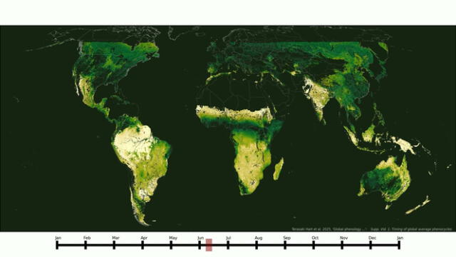  Ciclos de crecimiento estacional de los ecosistemas terrestres de la Tierra, estimados a partir de 20 años de imágenes satelitales. Foto: Terasaki Hart   