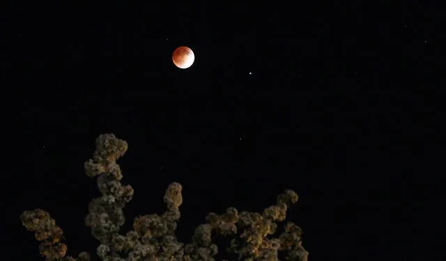  ¡Hoy es luna llena!, escribió la NASA a través de su cuenta de X, mostrando a la "Luna de Sangre". Foto: NASA/X   