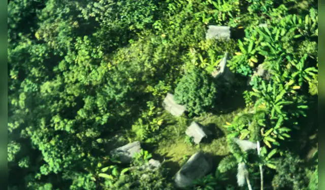 Malocas de indígenas en aislamiento de Loreto. Foto: ORPIO. Malocas de indígenas en aislamiento de Loreto. Foto: ORPIO.