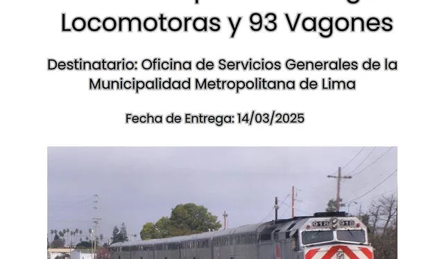 Informe contratado por la municipalidad de Lima Informe contratado por la municipalidad de Lima