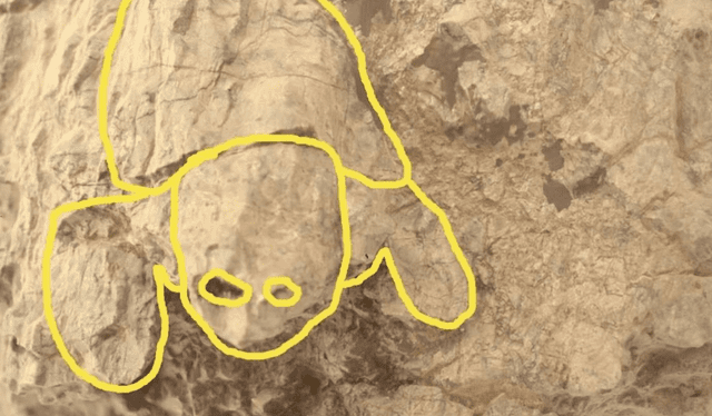  La imagen fue tomada por Perseverance en el cráter Jezero el 31 de agosto. Foto: NASA   