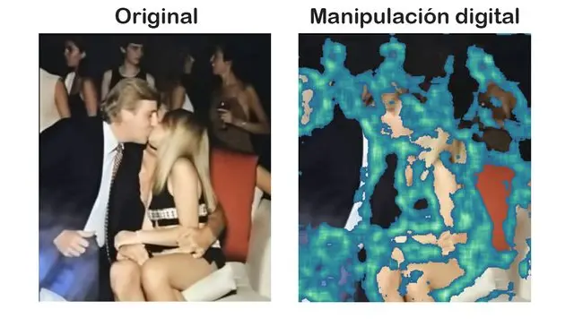 <em> Análisis del programa InVid. Foto: composición LR/capturas de pantalla</em>   