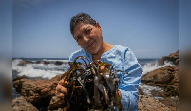  EJEMPLO. Las recolectoras son una inspiración para otras mujeres que enfrentan discriminación. Fuente: PNUD    