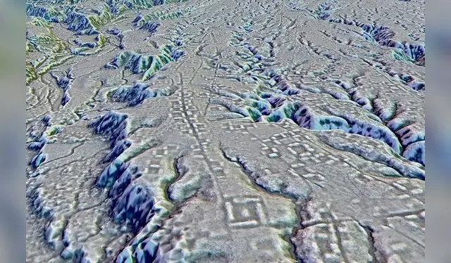  El mapa LiDAR de la ciudad en la Amazonía ecuatoriana revela antiguas calles bordeadas de casas. Foto: Stephen Rostain   