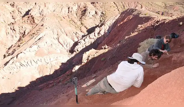Excavación de Huayracursor jaguensis por parte de los paleontólogos del CONICET. Foto: CONICET Excavación de Huayracursor jaguensis por parte de los paleontólogos del CONICET. Foto: CONICET