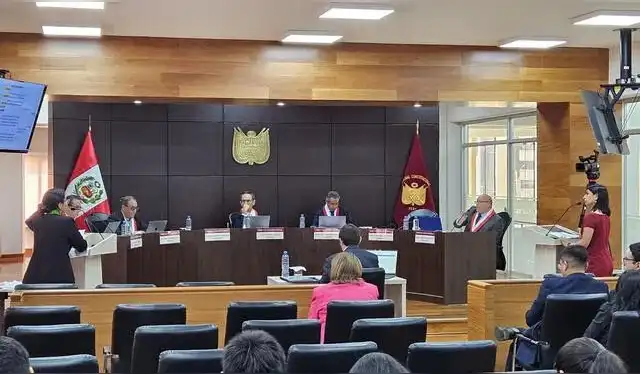 Tribunal Constitucional