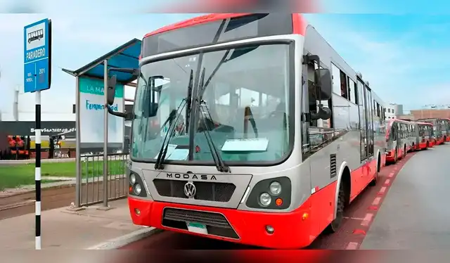  Por primera vez, el Corredor Rojo llegará hasta Manchay desde el Callao: amplían ruta 204 a partir del 1 de octubre. Foto: difusión   