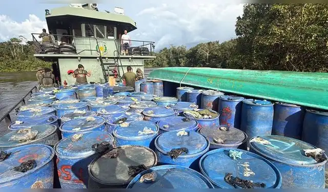 Corrupción: comuneros denuncian que galones de combustible no son incautados de forma efectiva por las autoridades. Foto: Andina.   