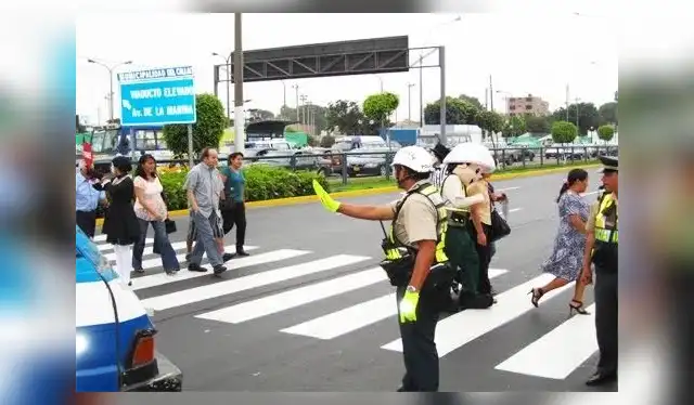  El curso busca promover la educación y concientización en seguridad vial entre los conductores. Foto: Pedagogía Tetra   