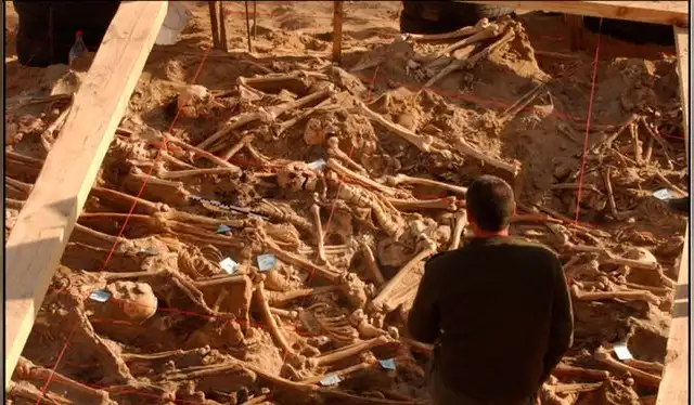  Excavación de las trincheras que contenían los cuerpos de los soldados. Foto: Current Biology   