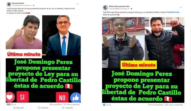 <em> Publicaciones desinformativas por las red social de Facebook. Foto: captura de pantalla</em>   