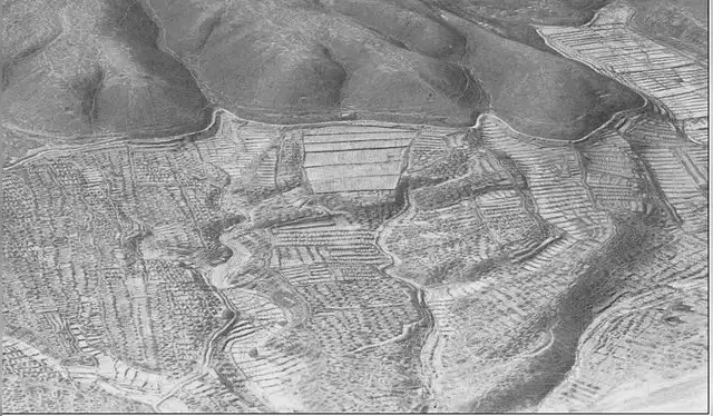  Fotografía aérea de un complejo sistema de riego en el Valle del Pisco. Foto: Antiquity   