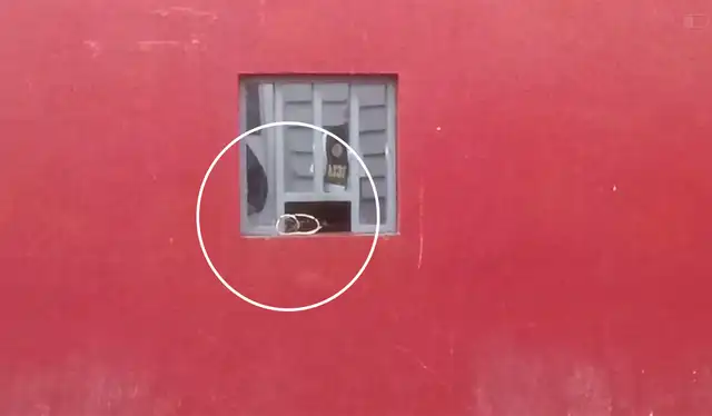  Policía investiga el móvil del hecho. Foto: cortesía.<br><br>    