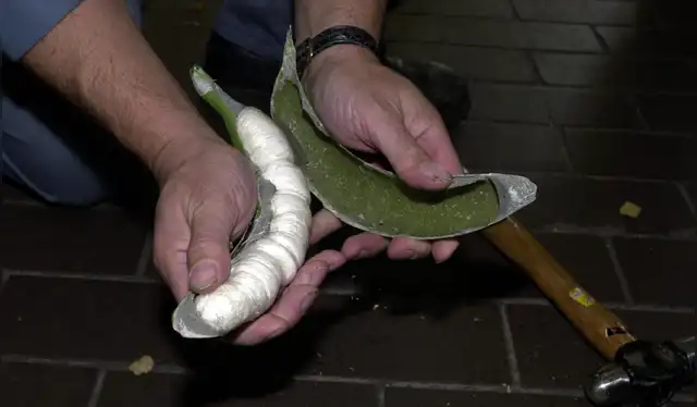 Contenedores de fruta y café esconden cocaína en Amberes