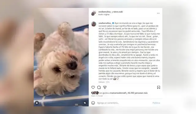  El mensaje de Onelia Molina tras el fallecimiento de perrita Nieve. Foto: IG - Onelia Molina   