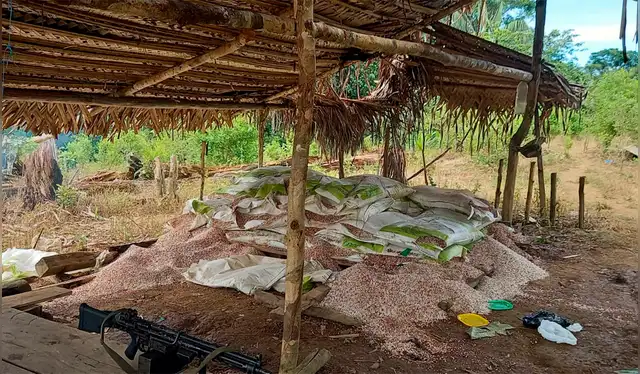 Se encontraron costales de cal, bolsas de cemento, fertilizantes colombianos, microondas usados para acelerar el secado de la droga. Créditos: Dirandro.<br><br> Se encontraron costales de cal, bolsas de cemento, fertilizantes colombianos, microondas usados para acelerar el secado de la droga. Créditos: Dirandro.<br><br>