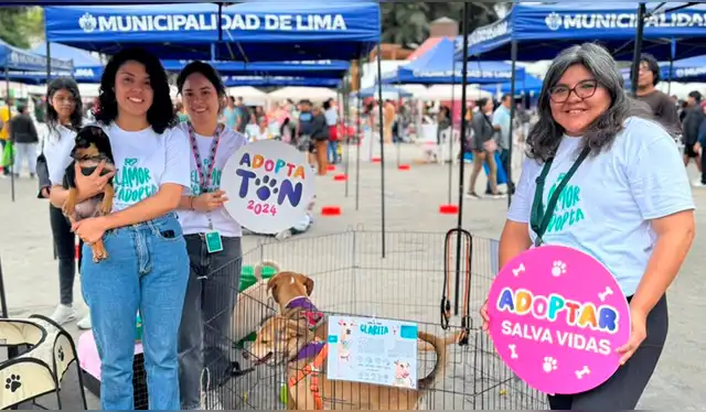  Más de 100 animales, entre perros y gatos, esperan ser adoptados. Foto: Difusión   