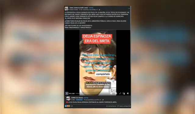 Versión falsa que le atribuye a Delia Espinoza una entrevista en la que una mujer afirma haber pertenecido al MRTA. Fotocaptura: Facebook   