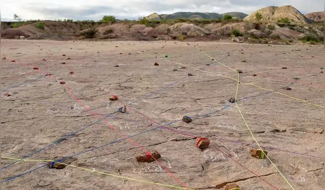  Los investigadores utilizaron líneas de patio para marcar huellas de dinosaurios pertenecientes al mismo rastro. Foto: Jeremy McLarty   