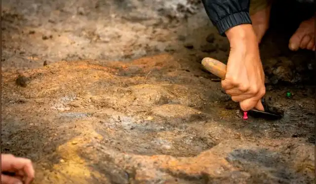Restos de una hoguera de hace 400.000 años. Foto: Jordan Mansfield Restos de una hoguera de hace 400.000 años. Foto: Jordan Mansfield