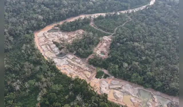 A pesar de las acciones de la Policía y la Marina, los operativos no han logrado detener la minería en la zona, donde se reportan amenazas y un clima de violencia contra quienes se oponen a esta actividad.   