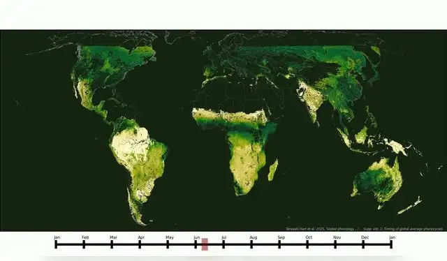  Ciclos de crecimiento estacional promedio de los ecosistemas terrestres de la Tierra, estimados a partir de 20 años de imágenes satelitales. Foto: Terasaki Hart   