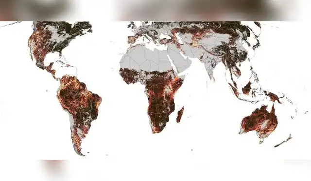  Puntos calientes de asincronía estacional: los colores más brillantes muestran regiones donde la sincronización de la actividad estacional varía considerablemente en distancias cortas. Foto: Terasaki Hart   