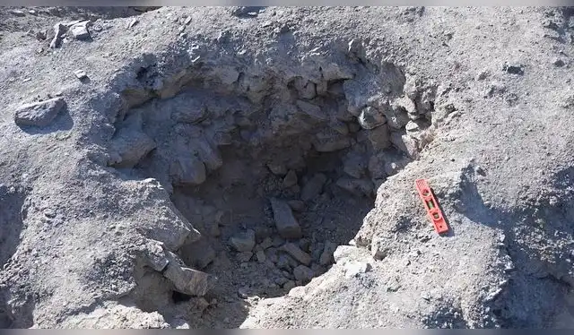 Los hoyos tienen entre 1 a 2 m de diámetro y 0,5 a 1 m de profundidad. Foto: C. Stanish Los hoyos tienen entre 1 a 2 m de diámetro y 0,5 a 1 m de profundidad. Foto: C. Stanish