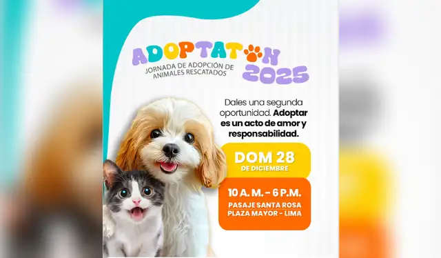  El Adoptatón se realizará el 28 de diciembre desde las 10 a. m. hasta las 6 p. m. Foto: Municipalidad de Lima/Presidencia Perú - IG   