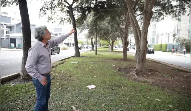  La eliminación de árboles es otro eje central del rechazo. Créditos: Sebastián Blanco Salazar / La República.<br><br>    