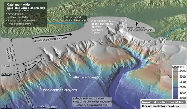 Foto: Science Advances    
