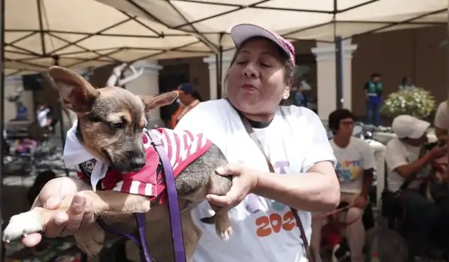 Activistas promueven la adopción responsable de perros y gatos. Foto: Foto: Sebastián Blanco Salazar / URPI-LR   