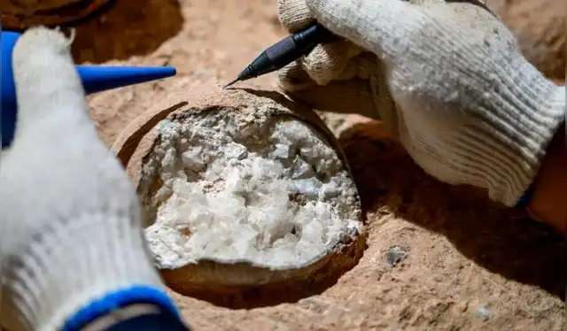  Huevo de dinosaurio cristalizado en su interior. Foto: IFL Science   