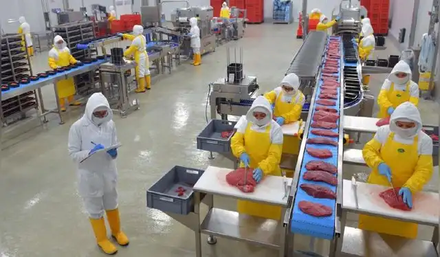  Procesamiento de carnes y derivados (salchicha, chorizo, embutidos, etc) se enlista como actividades para recibir beneficios tributarios.   