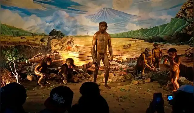  Los H. erectus eran cazadores-recolectores nómadas, fabricaban herramientas de piedra y usaban el fuego. Foto: Anadolu   