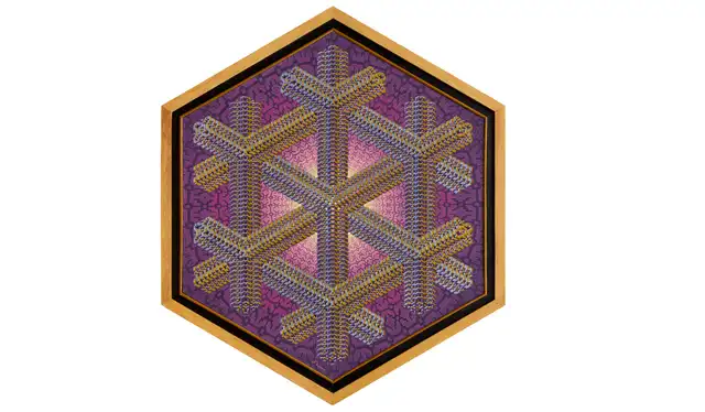  “El Huishmabu” de Fredy Tuanama Guerra. Imagen:. Difusión.    