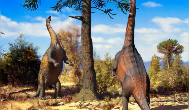  Dos Neuquensaurus se paran sobre sus patas traseras para alcanzar la copa de un árbol. Foto: Guilherme Gehr   