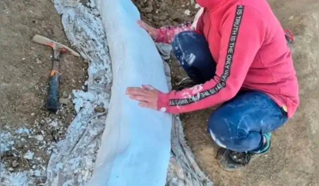  El fósil fue recuperado con éxito. Foto: Museo de Ciencias de Miramar.   