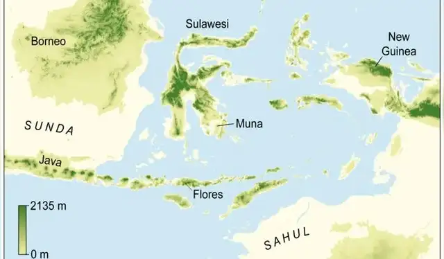  Un mapa muestra la isla de Muna, donde se encontró la plantilla de mano. Foto: Universidad de Griffith   