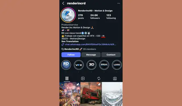 Descripción de la cuenta de IG del usuario que publicó el contenido original. | Foto: Instagram   